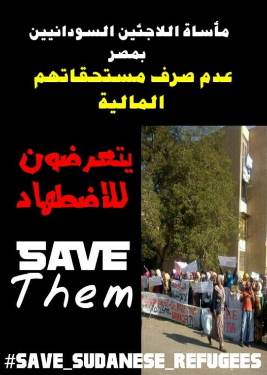 affiche article refugies en egypte